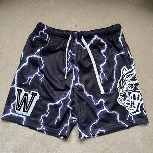 Darc Sport - VAUGHN MESH SHORTS IN WOLF GRAY/PURPLE LIGHTNING